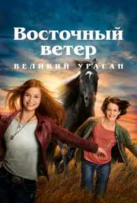 смотреть Восточный ветер. Великий ураган (2021) онлайн бесплатно в хорошем качестве без регистрации
