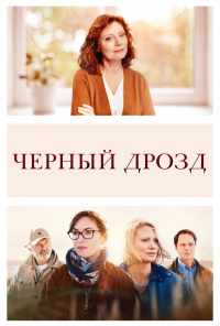 смотреть Чёрный дрозд (2019) онлайн бесплатно в хорошем качестве без регистрации