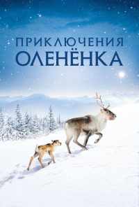 смотреть Приключения олененка (2018) онлайн бесплатно в хорошем качестве без регистрации
