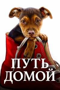 смотреть Путь домой (2019) онлайн бесплатно в хорошем качестве без регистрации