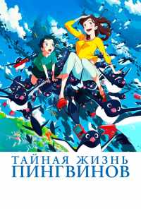 смотреть Тайная жизнь пингвинов (2018) онлайн бесплатно в хорошем качестве без регистрации