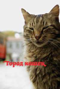 смотреть Город кошек (2016) онлайн бесплатно в хорошем качестве без регистрации