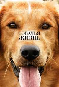 смотреть Собачья жизнь (2017) онлайн бесплатно в хорошем качестве без регистрации