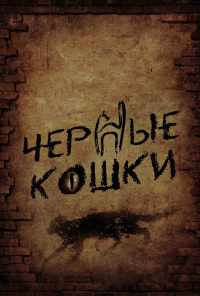 смотреть Черные кошки (2013) онлайн бесплатно в хорошем качестве без регистрации