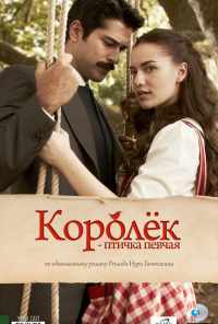 смотреть Королёк - птичка певчая (2013) онлайн бесплатно в хорошем качестве без регистрации