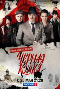 смотреть Черная кошка (2016) онлайн бесплатно в хорошем качестве без регистрации
