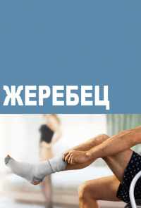 смотреть Жеребец (2009) онлайн бесплатно в хорошем качестве без регистрации