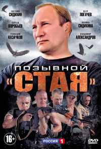 смотреть Позывной «Стая» (2013) онлайн бесплатно в хорошем качестве без регистрации