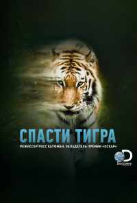 смотреть Спасти тигра (2019) онлайн бесплатно в хорошем качестве без регистрации
