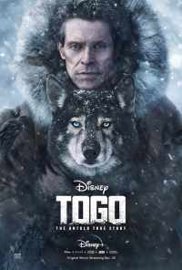 смотреть Того (2019) онлайн бесплатно в хорошем качестве без регистрации