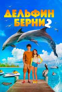 смотреть Дельфин Берни 2 (2019) онлайн бесплатно в хорошем качестве без регистрации