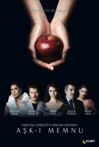 смотреть Запретная любовь (2008) онлайн бесплатно в хорошем качестве без регистрации