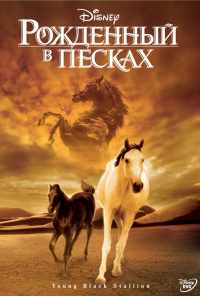 смотреть Рожденный в песках (2003) онлайн бесплатно в хорошем качестве без регистрации
