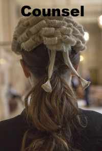 смотреть Counsel (2019) онлайн бесплатно в хорошем качестве без регистрации