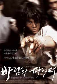 смотреть Воин ветра (2004) онлайн бесплатно в хорошем качестве без регистрации