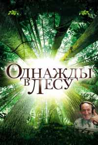 смотреть Однажды в лесу (2013) онлайн бесплатно в хорошем качестве без регистрации