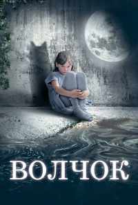 смотреть Волчок (2009) онлайн бесплатно в хорошем качестве без регистрации