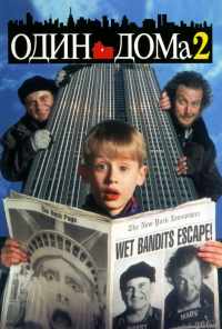смотреть Один дома 2: Затерянный в Нью-Йорке (1992) онлайн бесплатно в хорошем качестве без регистрации