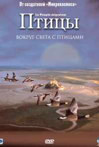 смотреть Птицы (2001) онлайн бесплатно в хорошем качестве без регистрации