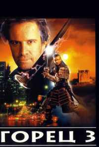 смотреть Горец 3: Последнее измерение (1994) онлайн бесплатно в хорошем качестве без регистрации