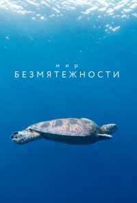смотреть Мир безмятежности (2020) онлайн бесплатно в хорошем качестве без регистрации