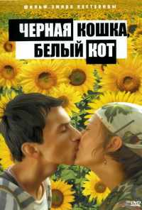 смотреть Черная кошка, белый кот (1998) онлайн бесплатно в хорошем качестве без регистрации