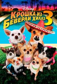 смотреть Крошка из Беверли-Хиллз 3 (2012) онлайн бесплатно в хорошем качестве без регистрации