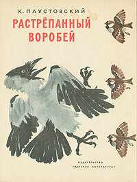 смотреть Растрёпанный воробей (1967) онлайн бесплатно в хорошем качестве без регистрации