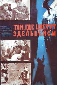 смотреть Там, где цветут эдельвейсы (1965) онлайн бесплатно в хорошем качестве без регистрации
