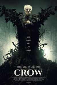 смотреть Ворон (2016) онлайн бесплатно в хорошем качестве без регистрации