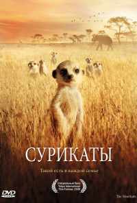 смотреть Сурикаты (2007) онлайн бесплатно в хорошем качестве без регистрации