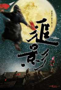 В погоне за тенью (2009) онлайн бесплатно