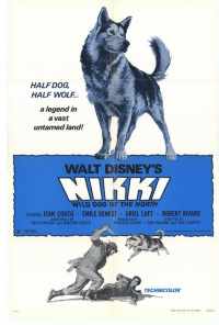 смотреть Дикий пес Севера (1961) онлайн бесплатно в хорошем качестве без регистрации