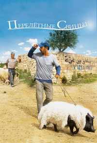 смотреть Перелетные свиньи (2011) онлайн бесплатно в хорошем качестве без регистрации
