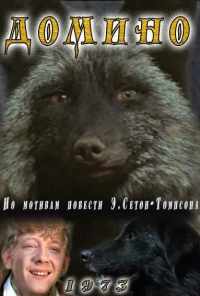смотреть Домино (1973) онлайн бесплатно в хорошем качестве без регистрации