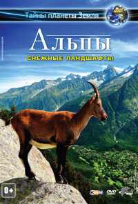 смотреть Альпы 3D: Снежные ландшафты (2013) онлайн бесплатно в хорошем качестве без регистрации