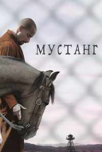 смотреть Мустанг (2017) онлайн бесплатно в хорошем качестве без регистрации