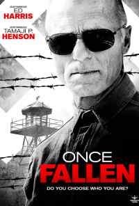 смотреть Единожды падший (2010) онлайн бесплатно в хорошем качестве без регистрации