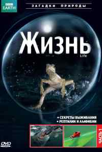 смотреть BBC: Жизнь (2009) онлайн бесплатно в хорошем качестве без регистрации