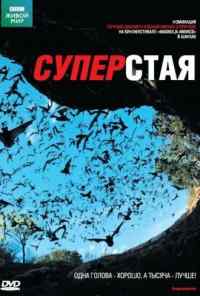 смотреть BBC: Суперстая (2009) онлайн бесплатно в хорошем качестве без регистрации