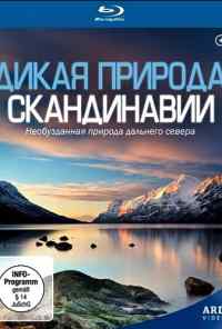 смотреть Дикая природа Скандинавии (2011) онлайн бесплатно в хорошем качестве без регистрации