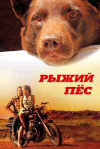 смотреть Рыжий пес (2011) онлайн бесплатно в хорошем качестве без регистрации