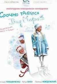 смотреть Срочно требуется Дед Мороз (2007) онлайн бесплатно в хорошем качестве без регистрации