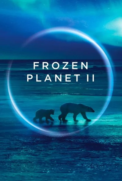 смотреть BBC: Замерзшая планета 2 (2022) онлайн бесплатно в хорошем качестве без регистрации