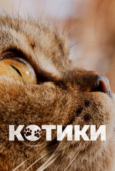 смотреть Котики (2022) онлайн бесплатно в хорошем качестве без регистрации