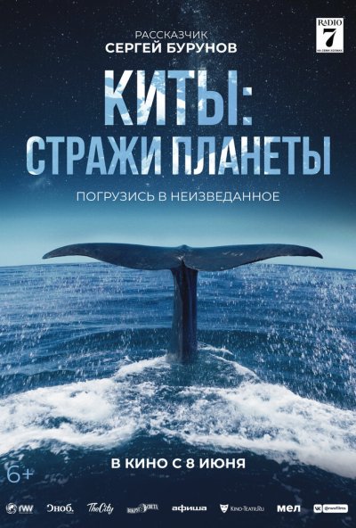 смотреть Киты: Стражи планеты (2023) онлайн бесплатно в хорошем качестве без регистрации