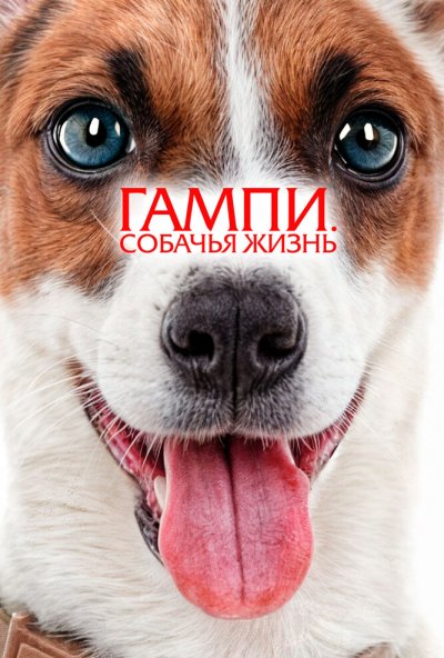 смотреть Гампи. Собачья жизнь (2024) онлайн бесплатно в хорошем качестве без регистрации