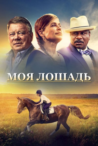 смотреть Моя лошадь (2016) онлайн бесплатно в хорошем качестве без регистрации